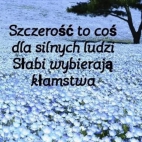 472893252_895876686041665_2560747509639604945_n