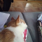 472103361_553912304302121_8725095669031126593_n