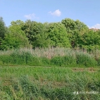 472948438_574865028684927_5567319495967785977_n