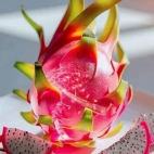 473068918_954928143440007_4521531953994329713_n