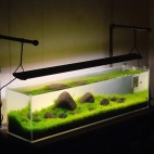 472540077_122195080874185426_2456187206627575677_n