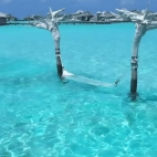 474049199_580519664801830_6776778547823684378_n