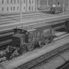 473808485_1810544093048922_7950578738426492071_n