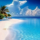 474472443_637671545271414_1825066689759129098_n