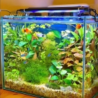 473190327_122195968124185426_8585791433575033700_n