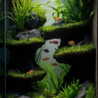 472913732_1204045287954522_339716030064961288_n