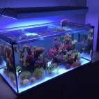 473424650_1020042616822244_4633061382052810803_n