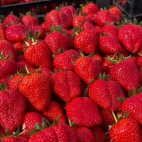 474235147_1082999807173435_841556469555321551_n