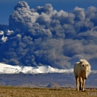 471570393_446168785216616_5994824532579790966_n(1)