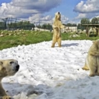 471412819_446168475216647_8005460648197915870_n