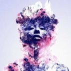 471623417_446168581883303_7748795030769594041_n