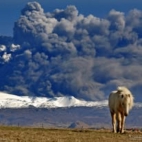 471570393_446168785216616_5994824532579790966_n