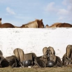 471680954_446169275216567_3589981870959519531_n