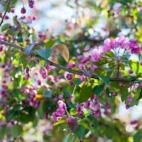 471484837_446169365216558_3217060118918672670_n