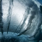 471659152_446170261883135_7659383989775496224_n