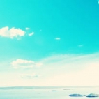 471597663_446171818549646_379188703432108710_n