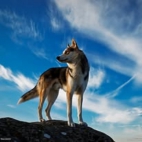 471485924_446168391883322_6582269288348794168_n