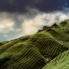 471546417_446168471883314_7401672054761410469_n