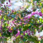 471484837_446169365216558_3217060118918672670_n