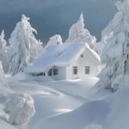 471627164_446173941882767_7700422417455323192_n