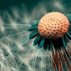 1920x1440-hd-wallpapers-abstract