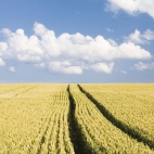 208_180982_1b6c491d37d8957