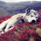 Anime-unnamed-5808548596-1920x1080