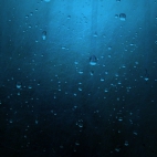 13634212371811583347