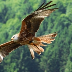 658251a7a08139946f9ecff739d5b3eb