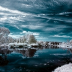 4540753+_22a8b9193ed17d5636b7c5ab9e00cca0