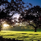 1331719971-1969642-0054617_www.nevseoboi.com.ua