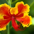 doga-duvar-kagidi-1920x1080-878-14b879c5