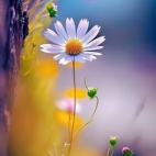 475165656_631963752553152_3146741432510319938_n