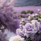 474934941_632376899178504_8361000243243889635_n