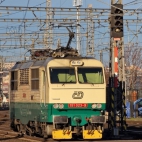 475145778_1348344843271962_7967174341052161224_n