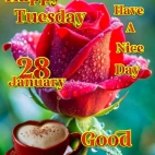 474507237_634699912402672_141031688041401187_n