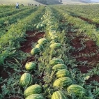 475261590_610917391695474_23813150595047214_n