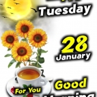 475423160_634927512379912_158314183705509605_n