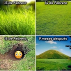 475374021_1039770534835405_1712421999899352826_n