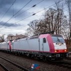 474036125_1115729007014924_3412584708706101057_n