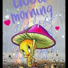 475113141_584324547760305_3438346406740938853_n