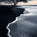 475303902_122140358510494746_6988677717944521431_n