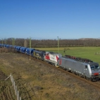 475593409_28516793044602003_1705627652060877750_n