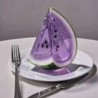 474976031_945522114379952_7877283308087105405_n