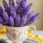 474910140_1026244636204937_1550311119986727868_n