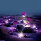 475288862_504761152648954_2905572691483044957_n