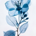 475439890_1138020354443058_724457259401637834_n