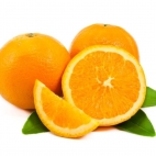 475526654_122183822036251128_3144740790409288107_n