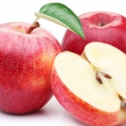 475411104_122183821340251128_635130248069184577_n