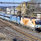 474675776_2336996906670189_8301172435748991025_n